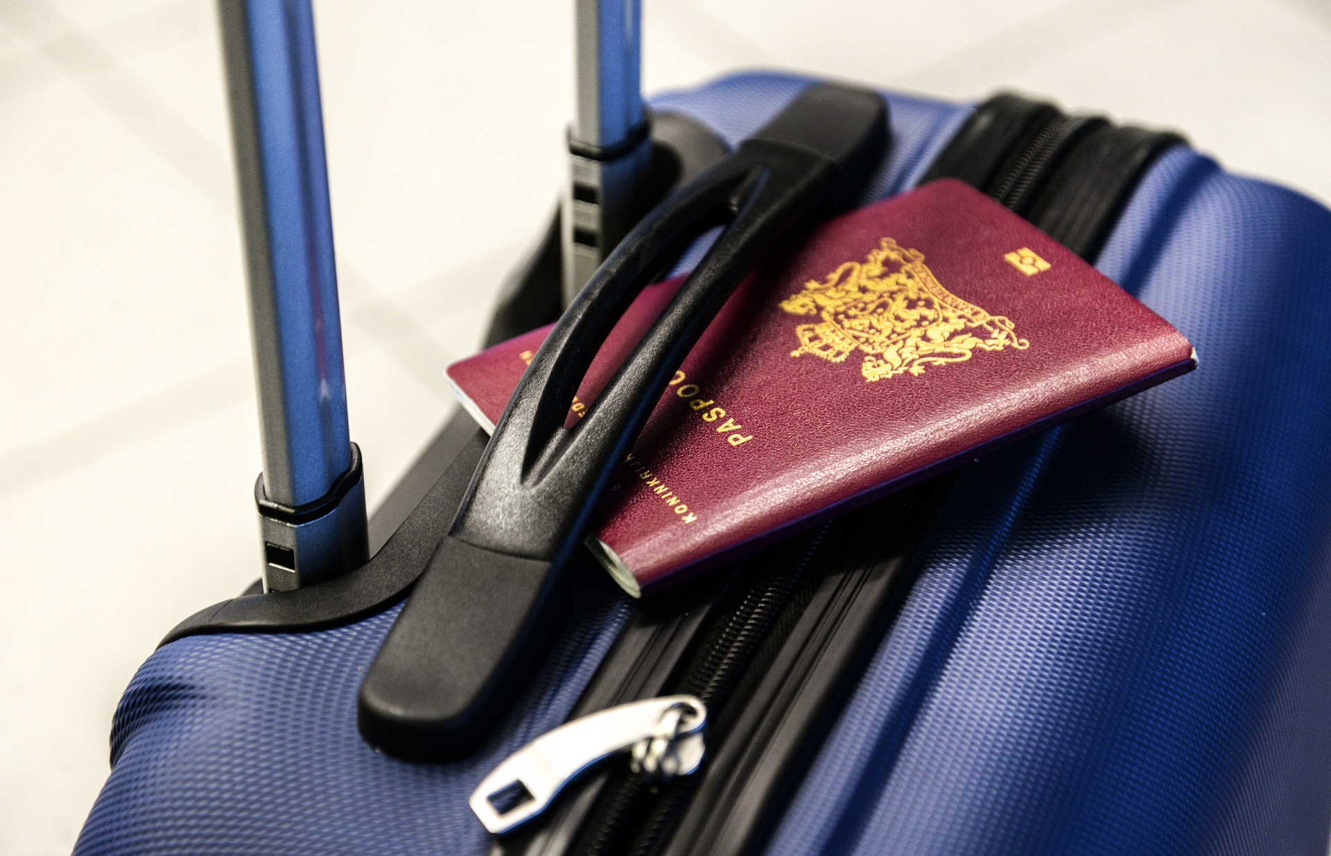 ENTRÉE EXPRESS