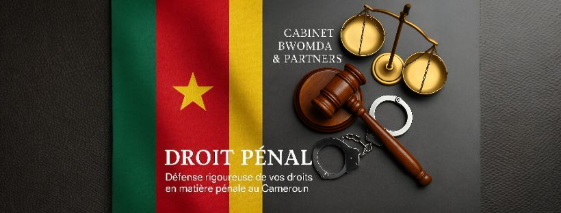 DROIT PÉNAL